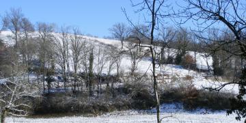 Laguarrigue enneigé