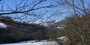 Laguarrigue enneigé