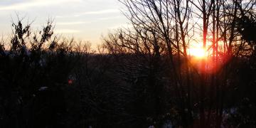 Laguarrigue enneigé