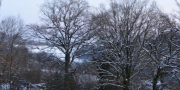 Laguarrigue enneigé