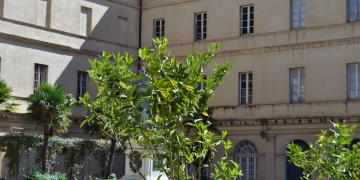 04-Ajaccio
