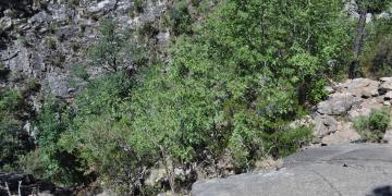 10-Boca-di-larone-cascades