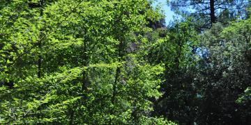 10-Boca-di-larone-cascades