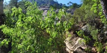 10-Boca-di-larone-cascades