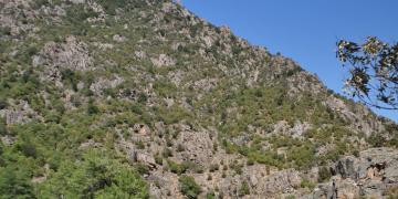 14-Corte-Ponte-leccia-Bastia