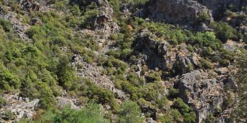 14-Corte-Ponte-leccia-Bastia