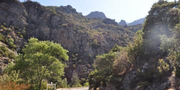 14-Corte-Ponte-leccia-Bastia
