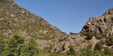 14-Corte-Ponte-leccia-Bastia