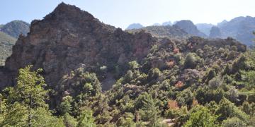 14-Corte-Ponte-leccia-Bastia