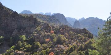 14-Corte-Ponte-leccia-Bastia