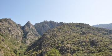 14-Corte-Ponte-leccia-Bastia