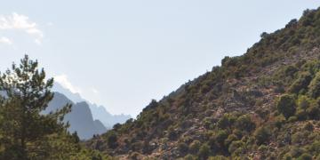 14-Corte-Ponte-leccia-Bastia