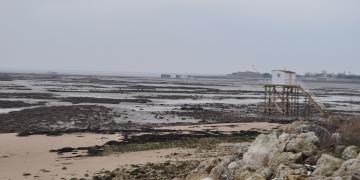 07_Les_ormeaux_Montresor