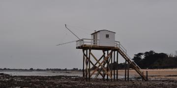 07_Les_ormeaux_Montresor