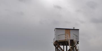 07_Les_ormeaux_Montresor