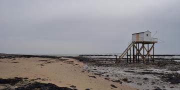 07_Les_ormeaux_Montresor