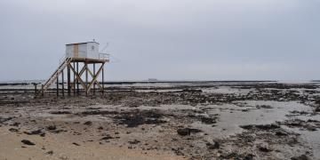 07_Les_ormeaux_Montresor