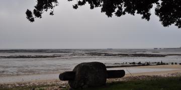 07_Les_ormeaux_Montresor