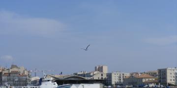 Mediterranee : Herault*