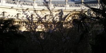 Petit Palais