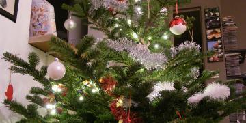 Noel 2014