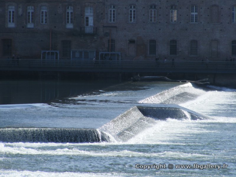 DSCF1360