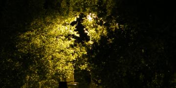 Gare de Toulouse-Raynal