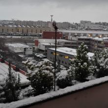 Toulouse_2018_0148__DSC_0908