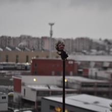 Toulouse_2018_0149__DSC_0909