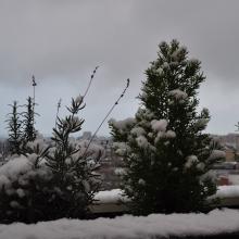 Toulouse_2018_0152__DSC_0912