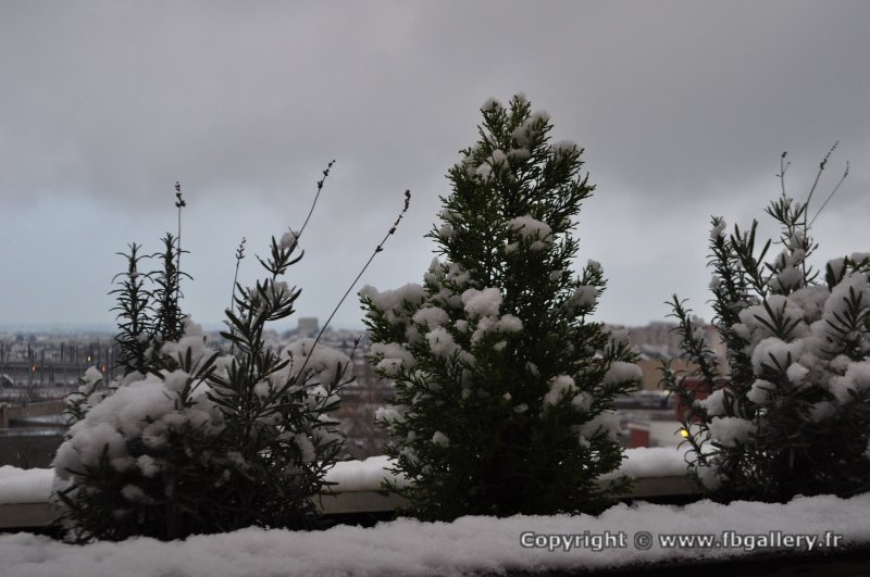 Toulouse_2018_0152__DSC_0912