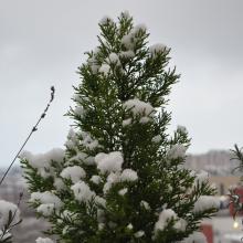 Toulouse_2018_0154__DSC_0914