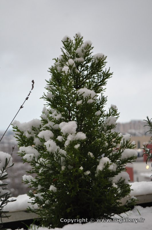Toulouse_2018_0154__DSC_0914