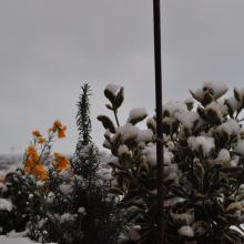 Toulouse_2018_0155__DSC_0915