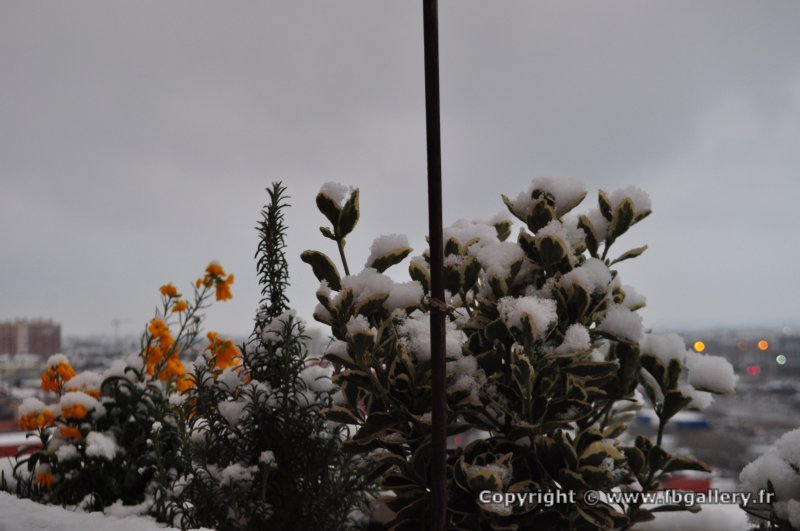 Toulouse_2018_0155__DSC_0915