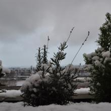 Toulouse_2018_0158__DSC_0918