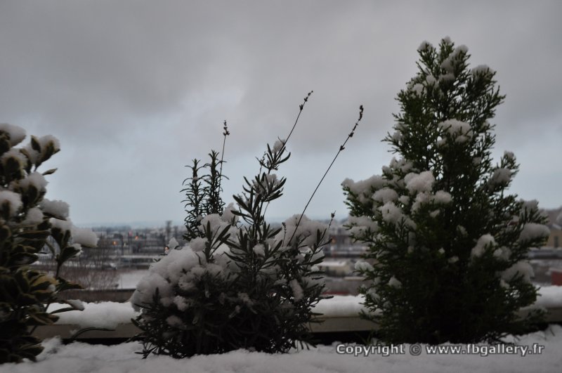 Toulouse_2018_0158__DSC_0918