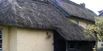 Adare