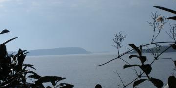 Vues sur la baie