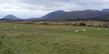 Etape 03 : Connemara Loop, de Maam Cross à Leenaun