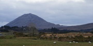 Connemara*
