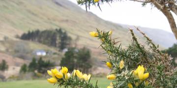 Etape 03 : Connemara Loop, de Maam Cross à Leenaun