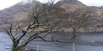 Etape 06 : Killary Harbour