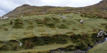 Etape 06 : Killary Harbour