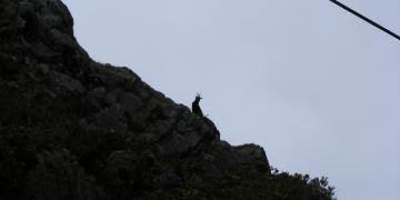 Etape 07 : Killary Bay Little