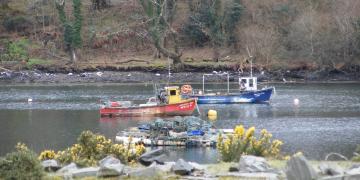 Etape 07 : Killary Bay Little