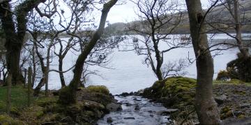Etape 07 : Killary Bay Little