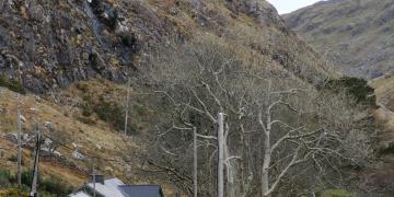 Etape 08 : Salrock