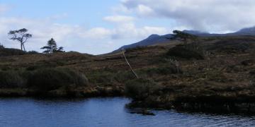 Etape 09 : Lough Fee