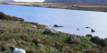 Etape 09 : Lough Fee